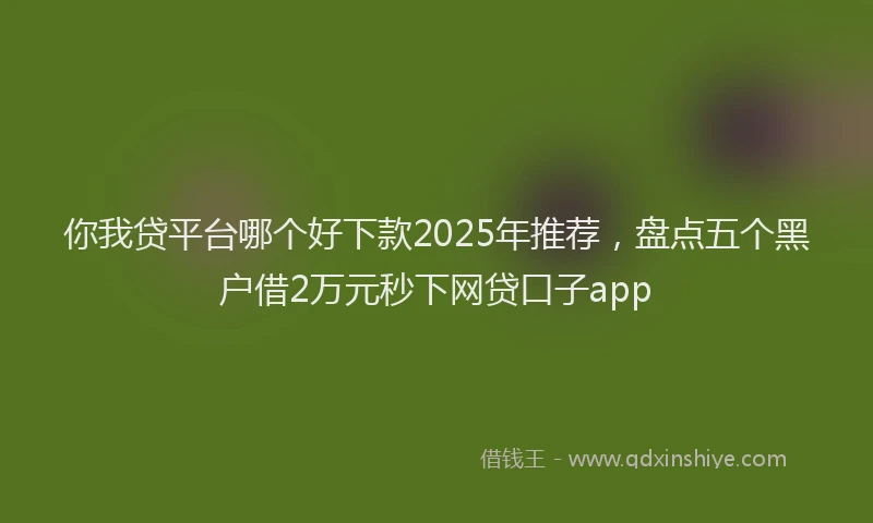 你我贷平台哪个好下款2025年推荐，盘点五个黑户借2万元秒下网贷口子app