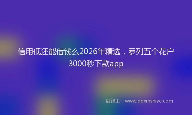 信用低还能借钱么2026年精选，罗列五个花户3000秒下款app