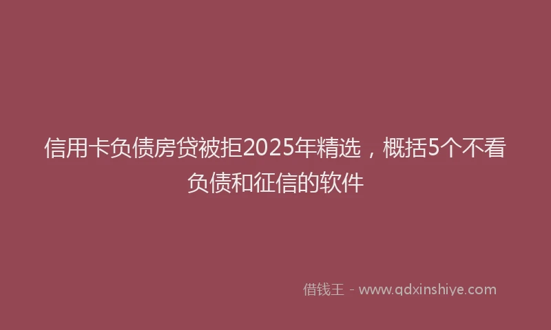 信用卡负债房贷被拒2025年精选，概括5个不看负债和征信的软件