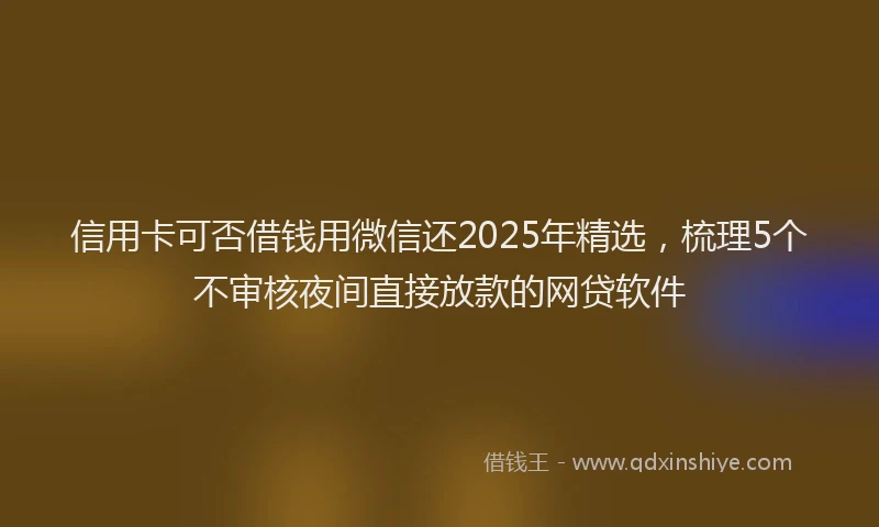 信用卡可否借钱用微信还2025年精选，梳理5个不审核夜间直接放款的网贷软件