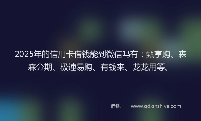 2025年的信用卡借钱能到微信吗有：甄享购、森森分期、极速易购、有钱来、龙龙用等。