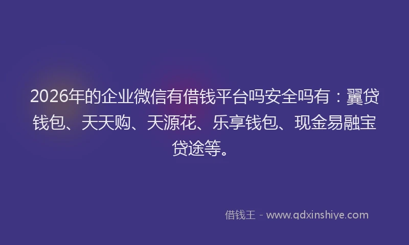 2026年的企业微信有借钱平台吗安全吗有：翼贷钱包、天天购、天源花、乐享钱包、现金易融宝贷途等。