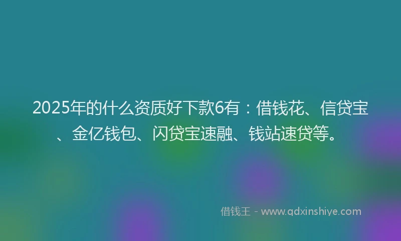 2025年的什么资质好下款6有：借钱花、信贷宝、金亿钱包、闪贷宝速融、钱站速贷等。