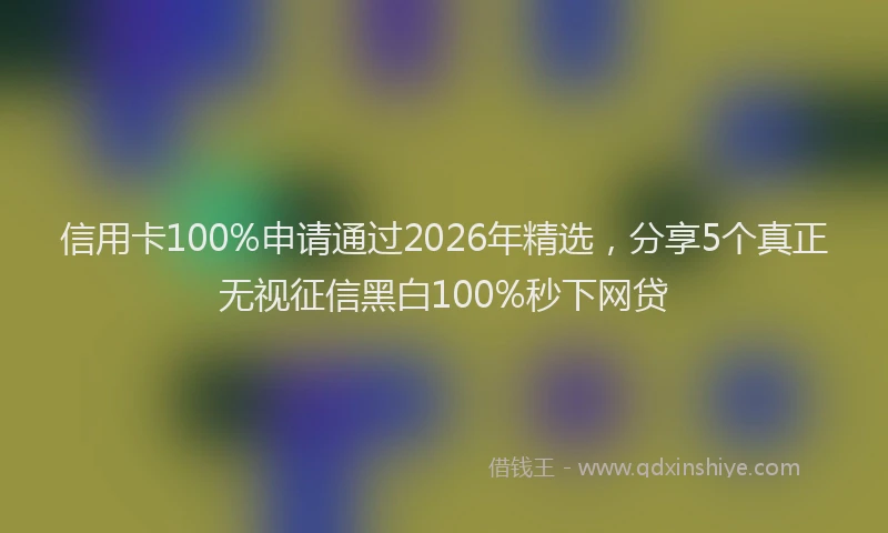 信用卡100%申请通过2026年精选，分享5个真正无视征信黑白100%秒下网贷