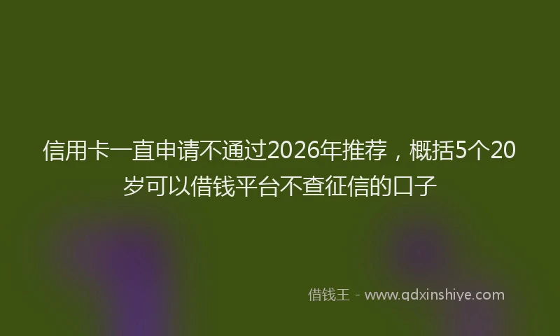 信用卡一直申请不通过2026年推荐，概括5个20岁可以借钱平台不查征信的口子