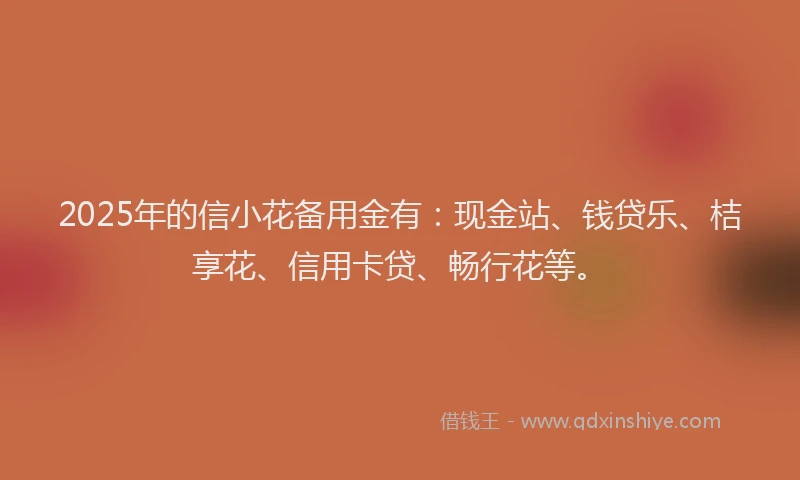 2025年的信小花备用金有：现金站、钱贷乐、桔享花、信用卡贷、畅行花等。