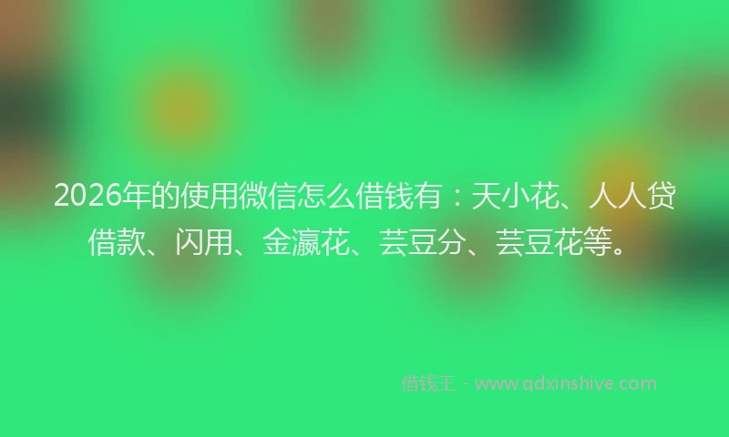 2026年的使用微信怎么借钱有:天小花、人人贷借款、闪用、金瀛花、芸豆分、芸豆花等。