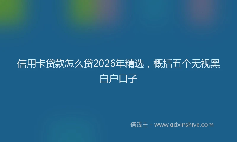 信用卡贷款怎么贷2026年精选，概括五个无视黑白户口子