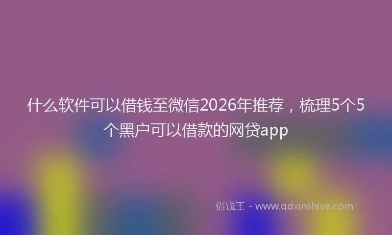 什么软件可以借钱至微信2026年推荐，梳理5个5个黑户可以借款的网贷app