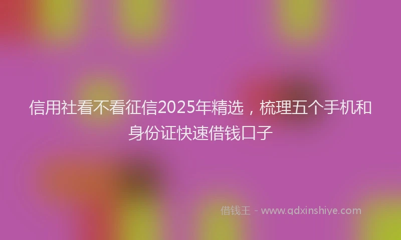 信用社看不看征信2025年精选，梳理五个手机和身份证快速借钱口子