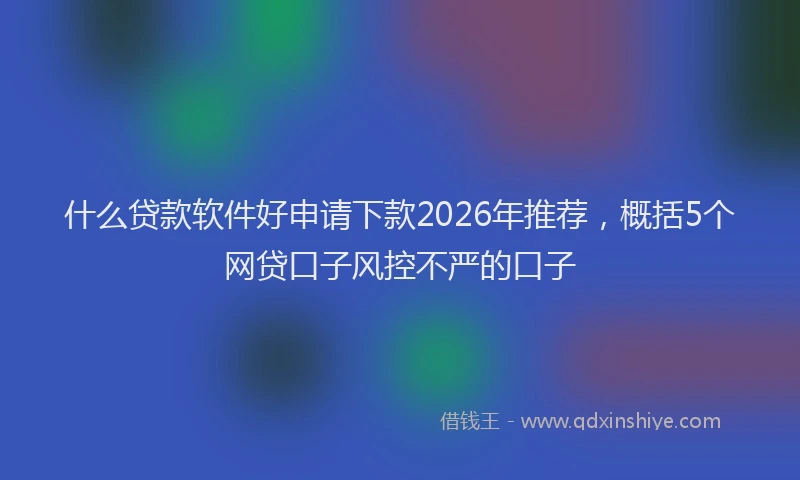 什么贷款软件好申请下款2026年推荐，概括5个网贷口子风控不严的口子