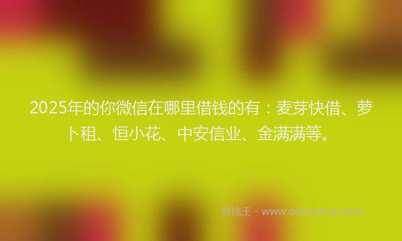 2025年的你微信在哪里借钱的有：麦芽快借、萝卜租、恒小花、中安信业、金满满等。