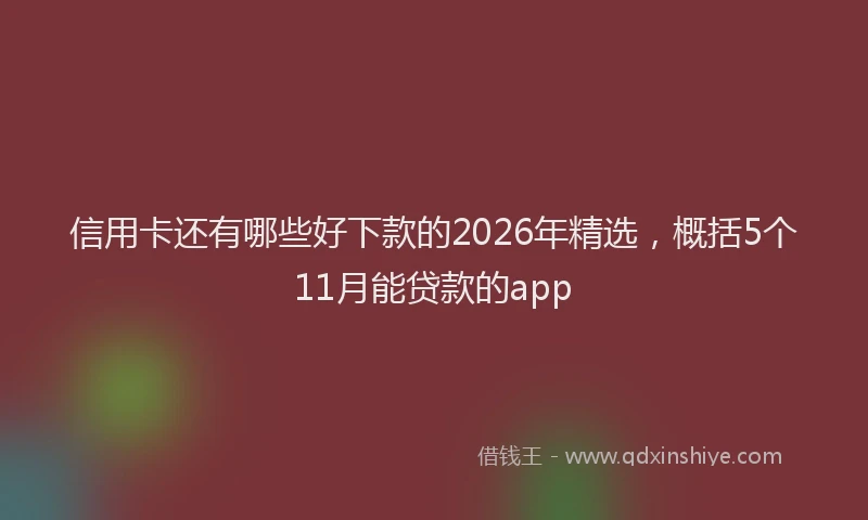 信用卡还有哪些好下款的2026年精选，概括5个11月能贷款的app