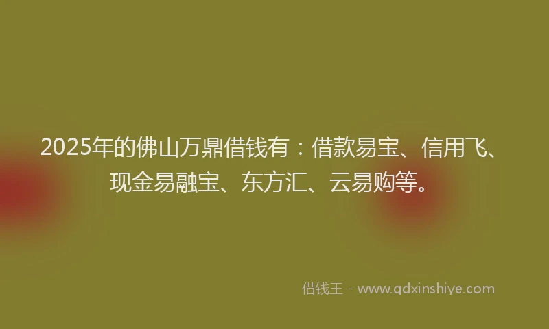 2025年的佛山万鼎借钱有：借款易宝、信用飞、现金易融宝、东方汇、云易购等。