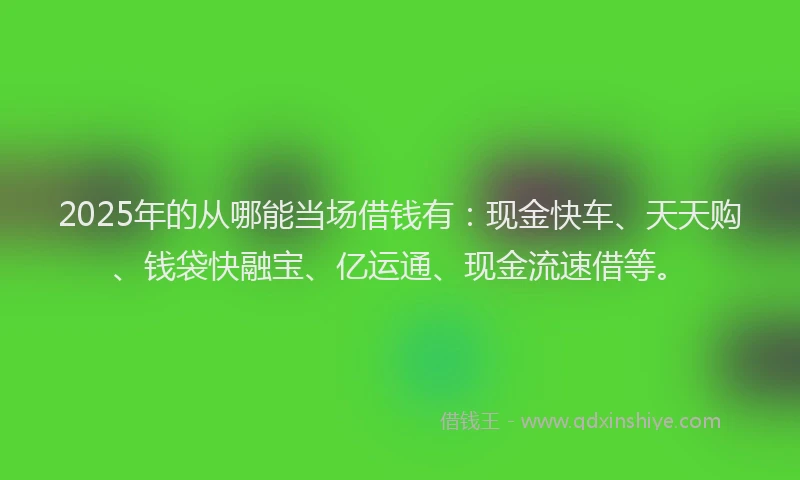 2025年的从哪能当场借钱有:现金快车、天天购、钱袋快融宝、亿运通、现金流速借等。
