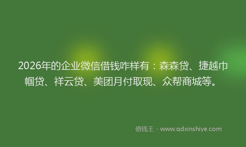 2026年的企业微信借钱咋样有:森森贷、捷越巾帼贷、祥云贷、美团月付取现、众帮商城等。