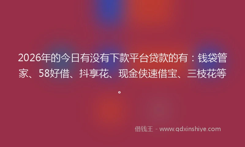 2026年的今日有没有下款平台贷款的有：钱袋管家、58好借、抖享花、现金侠速借宝、三枝花等。
