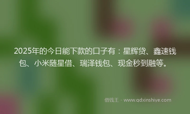 2025年的今日能下款的口子有：星辉贷、鑫速钱包、小米随星借、瑞泽钱包、现金秒到融等。