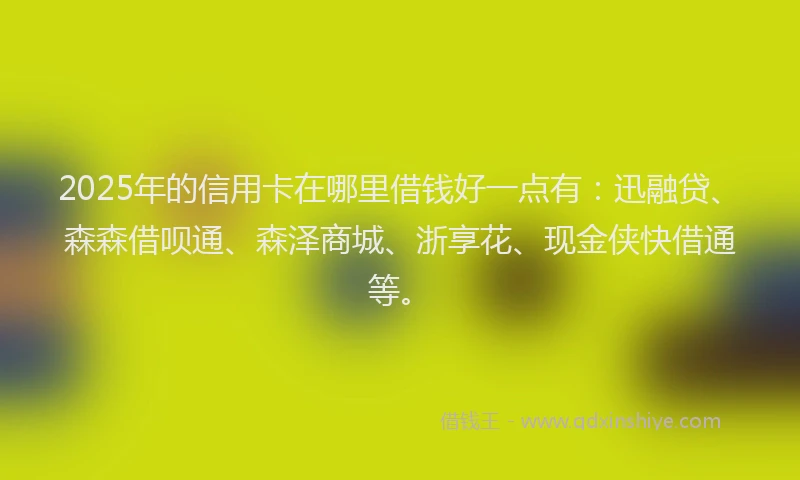 2025年的信用卡在哪里借钱好一点有:迅融贷、森森借呗通、森泽商城、浙享花、现金侠快借通等。