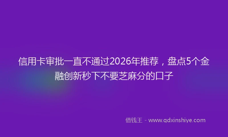 信用卡审批一直不通过2026年推荐，盘点5个金融创新秒下不要芝麻分的口子