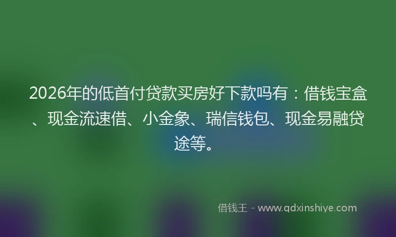 2026年的低首付贷款买房好下款吗有:借钱宝盒、现金流速借、小金象、瑞信钱包、现金易融贷途等。