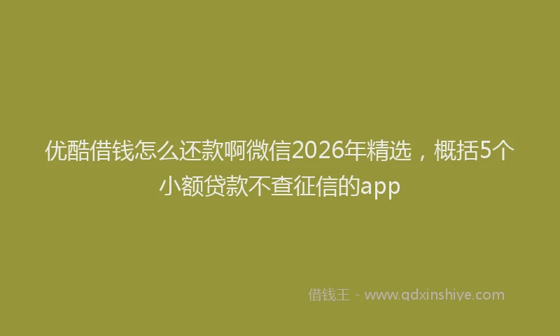 优酷借钱怎么还款啊微信2026年精选，概括5个小额贷款不查征信的app
