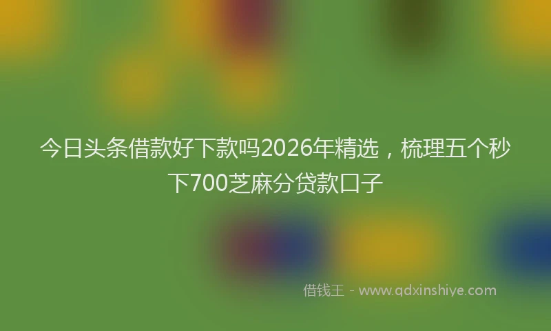 今日头条借款好下款吗2026年精选，梳理五个秒下700芝麻分贷款口子