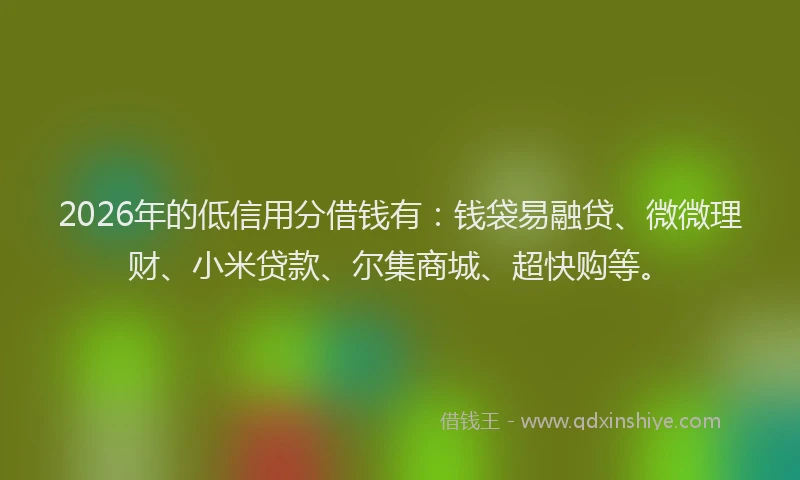 2026年的低信用分借钱有：钱袋易融贷、微微理财、小米贷款、尔集商城、超快购等。