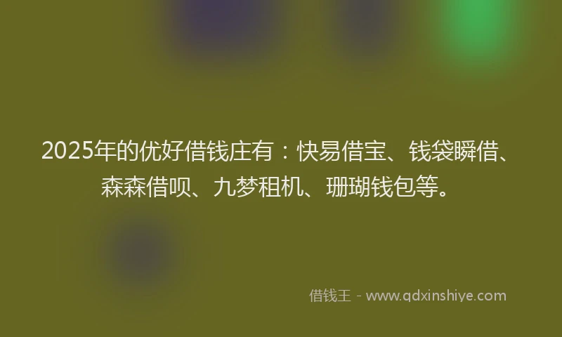 2025年的优好借钱庄有：快易借宝、钱袋瞬借、森森借呗、九梦租机、珊瑚钱包等。