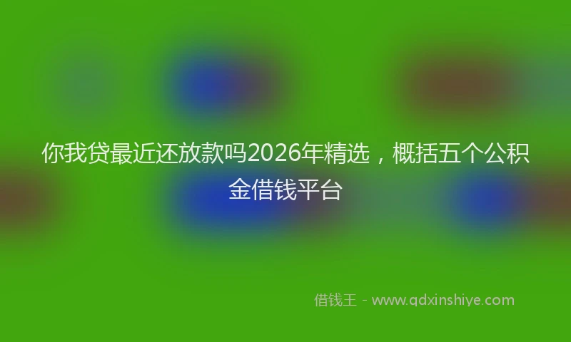 你我贷最近还放款吗2026年精选，概括五个公积金借钱平台
