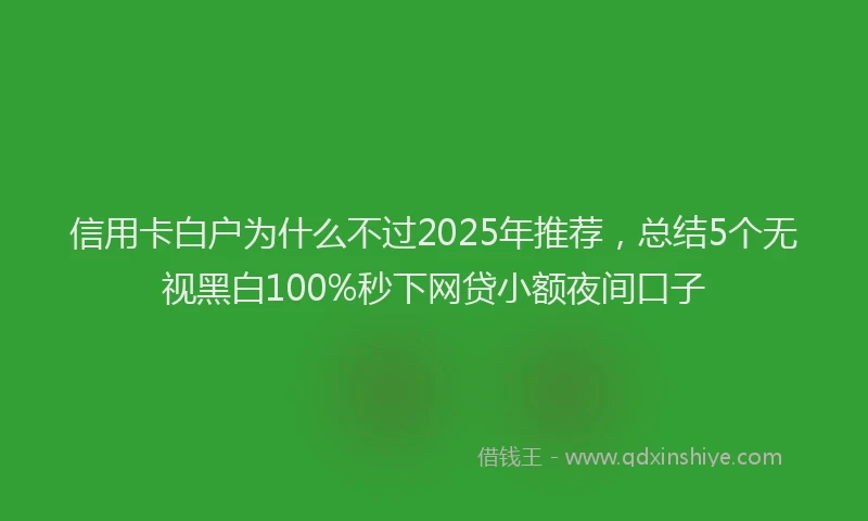 信用卡白户为什么不过2025年推荐，总结5个无视黑白100%秒下网贷小额夜间口子