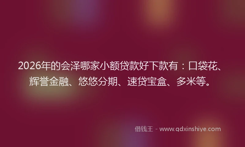 2026年的会泽哪家小额贷款好下款有：口袋花、辉誉金融、悠悠分期、速贷宝盒、多米等。