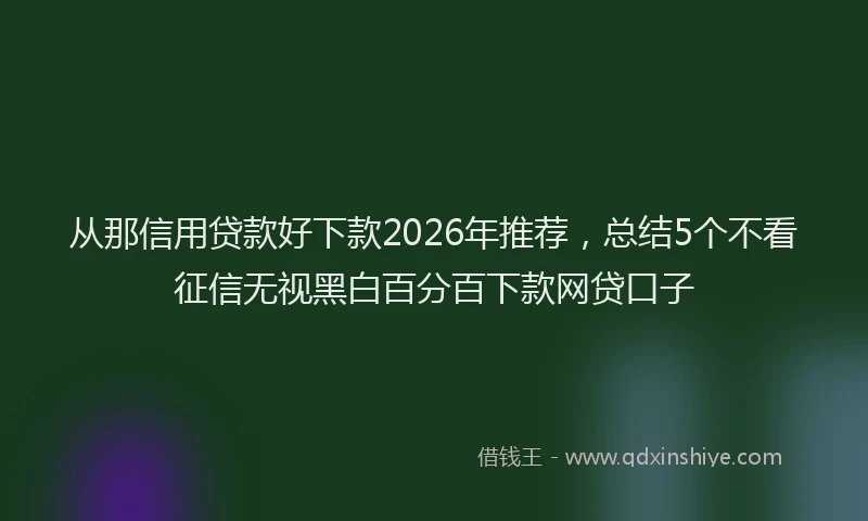 从那信用贷款好下款2026年推荐，总结5个不看征信无视黑白百分百下款网贷口子