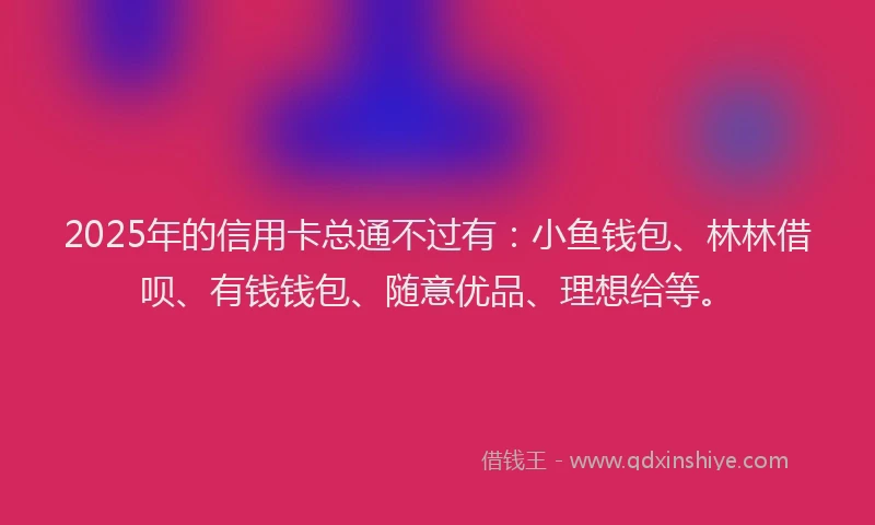 2025年的信用卡总通不过有：小鱼钱包、林林借呗、有钱钱包、随意优品、理想给等。