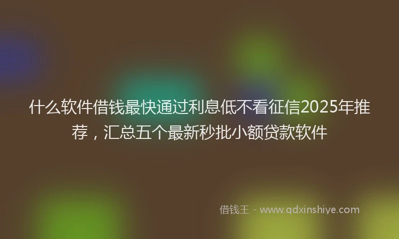 什么软件借钱最快通过利息低不看征信2025年推荐，汇总五个最新秒批小额贷款软件