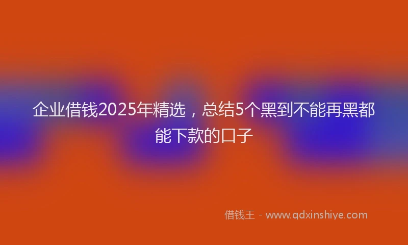 企业借钱2025年精选,总结5个黑到不能再黑都能下款的口子