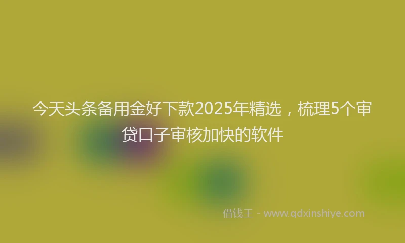 今天头条备用金好下款2025年精选，梳理5个审贷口子审核加快的软件