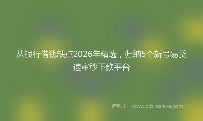 从银行借钱缺点2026年精选，归纳5个新号易贷速审秒下款平台
