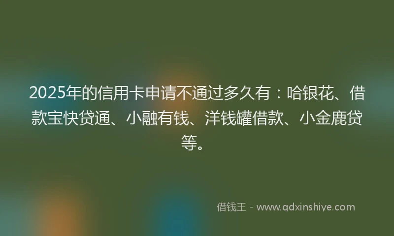 2025年的信用卡申请不通过多久有：哈银花、借款宝快贷通、小融有钱、洋钱罐借款、小金鹿贷等。