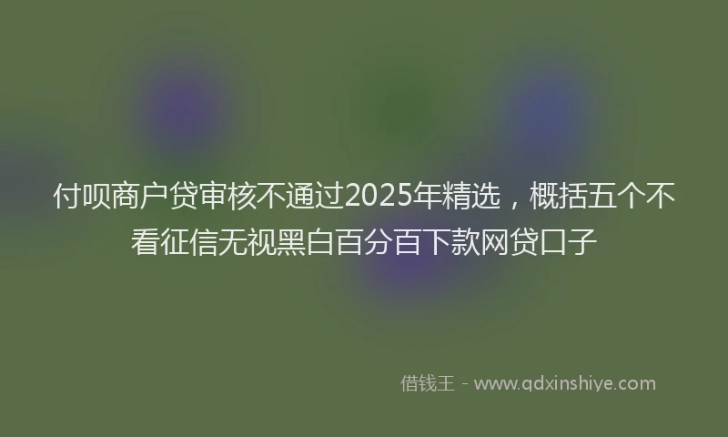 付呗商户贷审核不通过2025年精选，概括五个不看征信无视黑白百分百下款网贷口子
