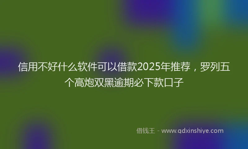 信用不好什么软件可以借款2025年推荐,罗列五个高炮双黑逾期必下款口子