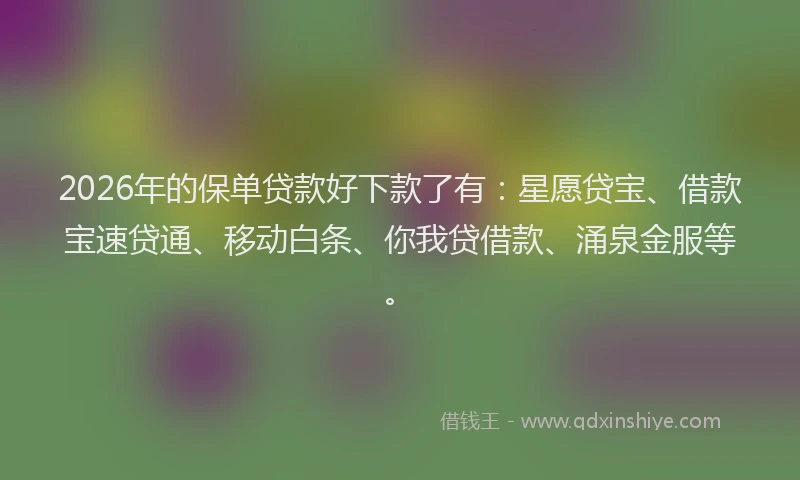 2026年的保单贷款好下款了有:星愿贷宝、借款宝速贷通、移动白条、你我贷借款、涌泉金服等。