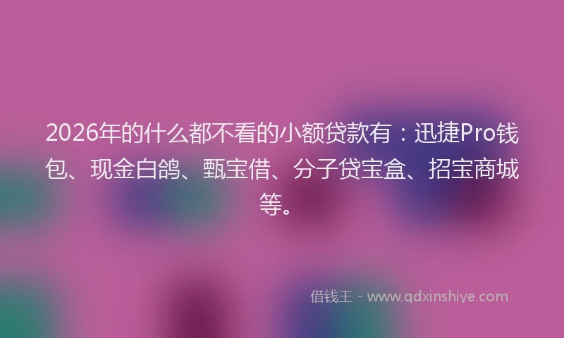 2026年的什么都不看的小额贷款有:迅捷Pro钱包、现金白鸽、甄宝借、分子贷宝盒、招宝商城等。