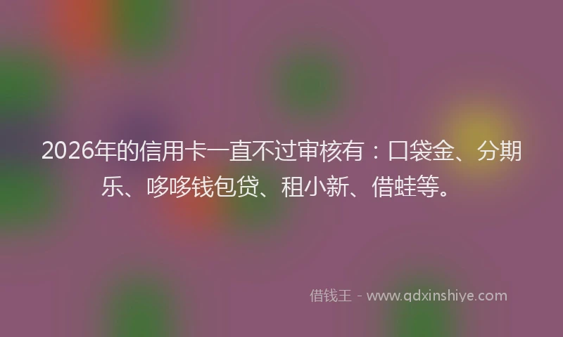 2026年的信用卡一直不过审核有：口袋金、分期乐、哆哆钱包贷、租小新、借蛙等。