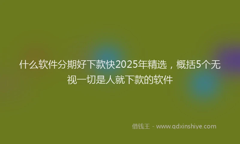 什么软件分期好下款快2025年精选，概括5个无视一切是人就下款的软件