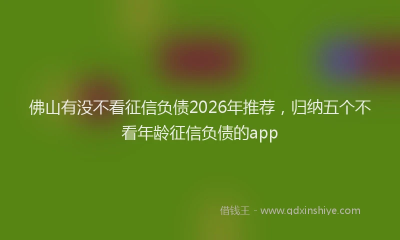 佛山有没不看征信负债2026年推荐，归纳五个不看年龄征信负债的app