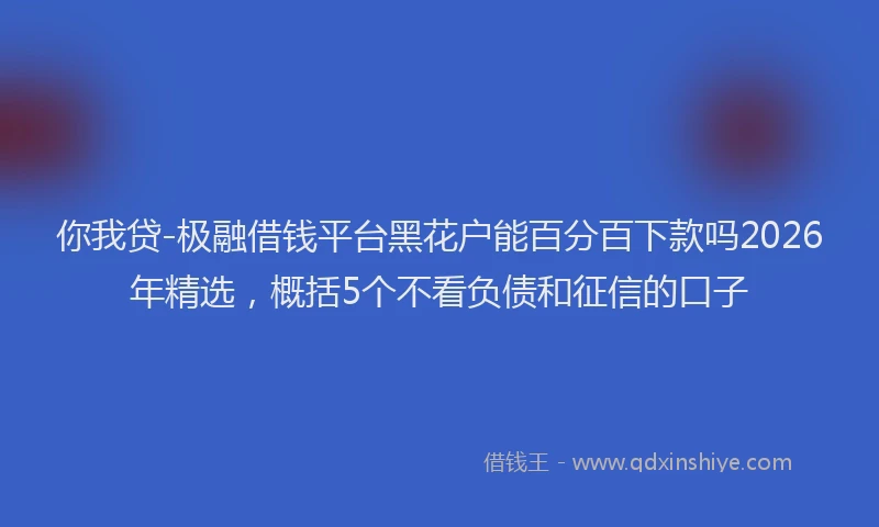 你我贷-极融借钱平台黑花户能百分百下款吗2026年精选，概括5个不看负债和征信的口子