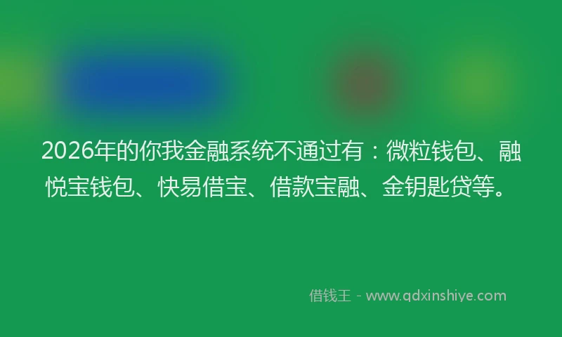2026年的你我金融系统不通过有：微粒钱包、融悦宝钱包、快易借宝、借款宝融、金钥匙贷等。