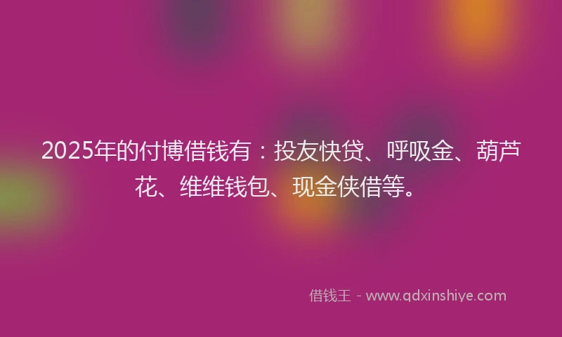 2025年的付博借钱有：投友快贷、呼吸金、葫芦花、维维钱包、现金侠借等。