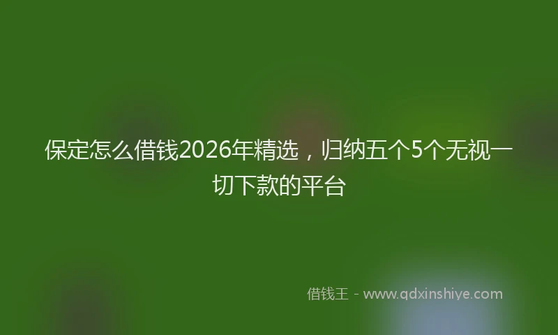 保定怎么借钱2026年精选，归纳五个5个无视一切下款的平台